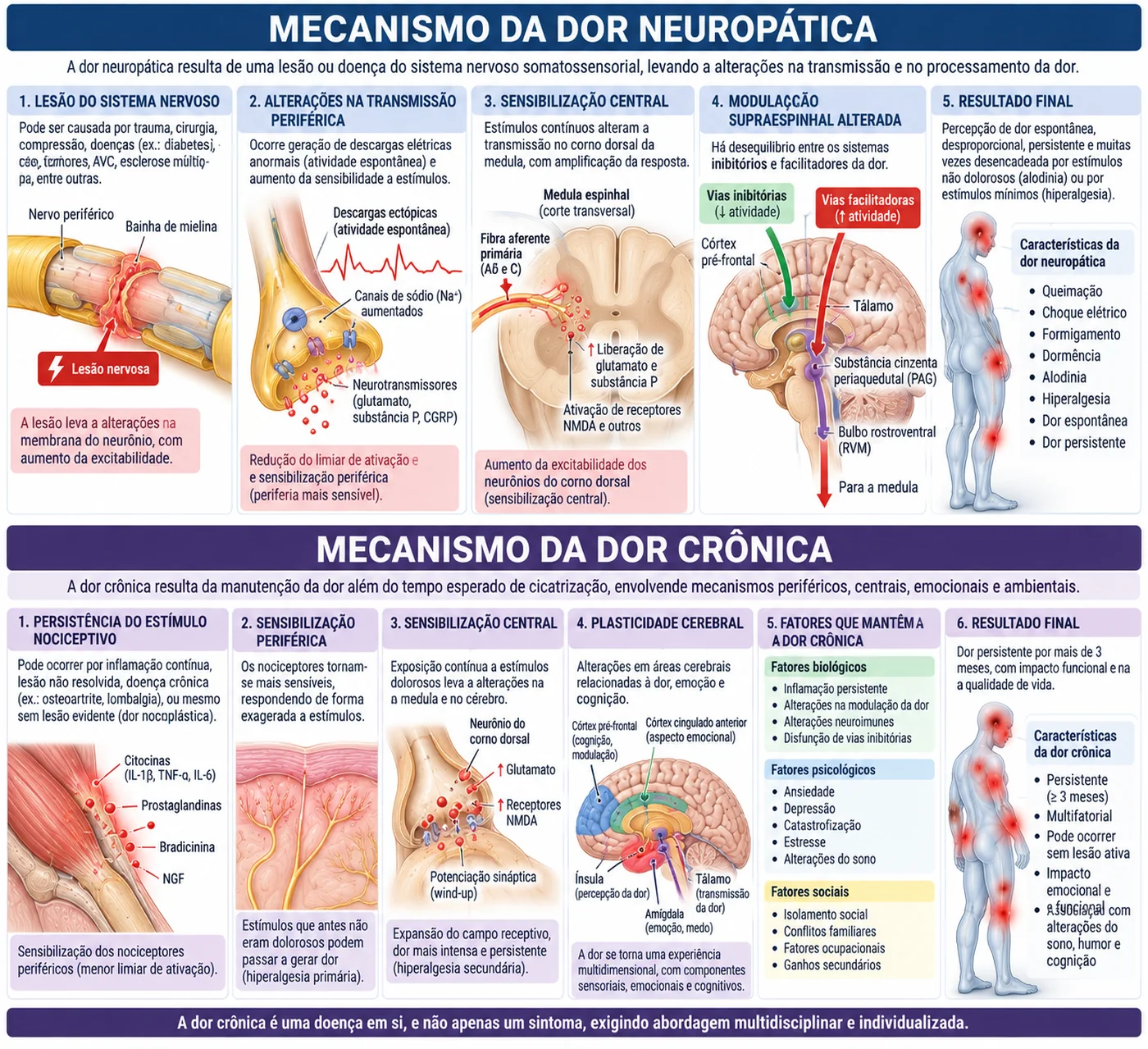 Dois esquemas em sequência: o mecanismo da dor neuropática, da lesão do nervo à sensibilização central e à modulação alterada; e o mecanismo da dor crônica, do estímulo persistente à plasticidade cerebral e aos fatores biológicos, psicológicos e sociais que a mantêm.